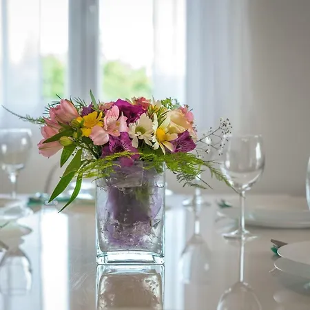 Apartman New Luxury Salona